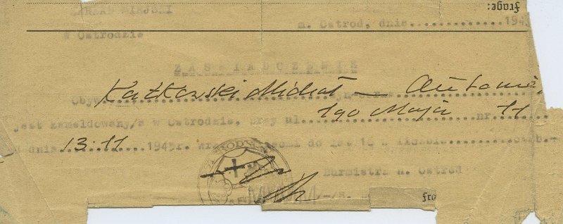 KKE 5311.jpg - Dok. Karta Meldunkowa, Michał Katkowski, Ostróda, 13 XI 1945 r.